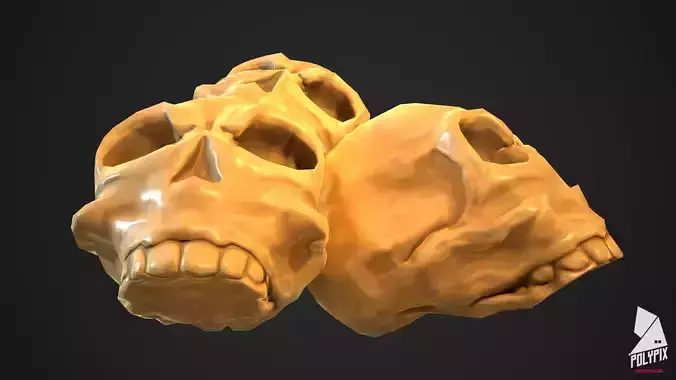 Skull three skulls