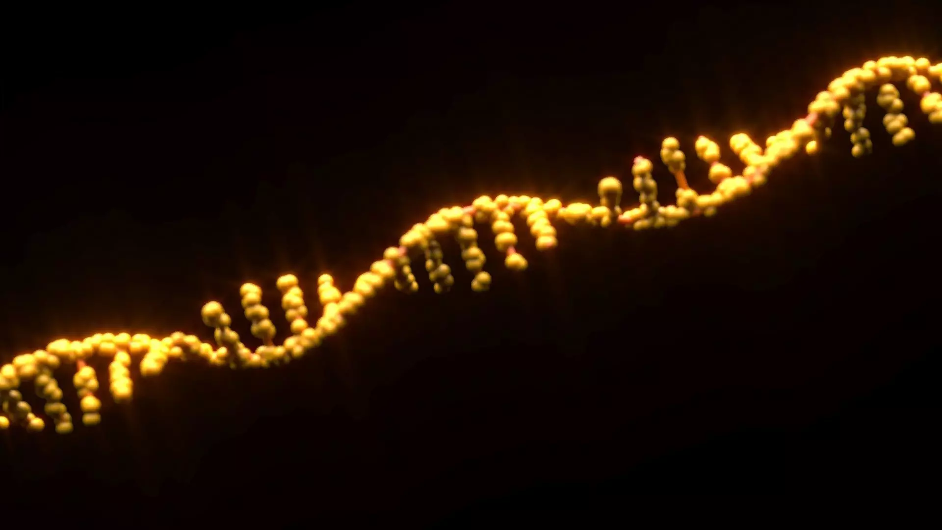 RNA Helix 3D model