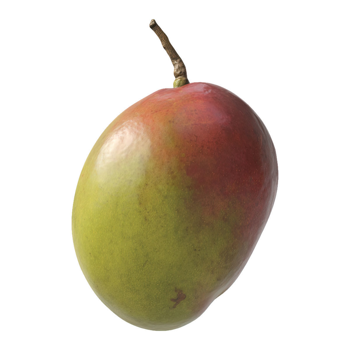 Mango fruit 3D Model Collection_29