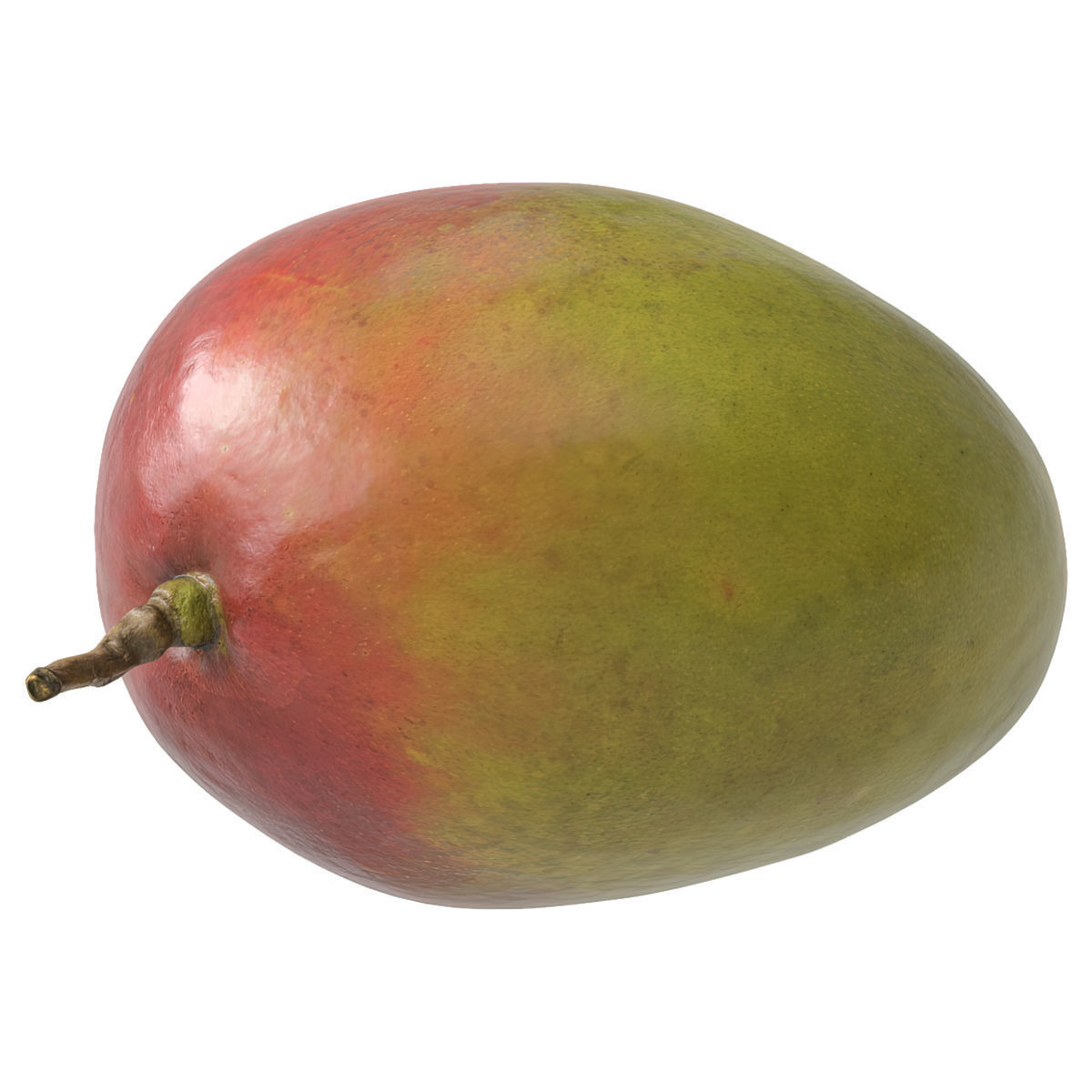 Mango fruit 3D Model Collection_24