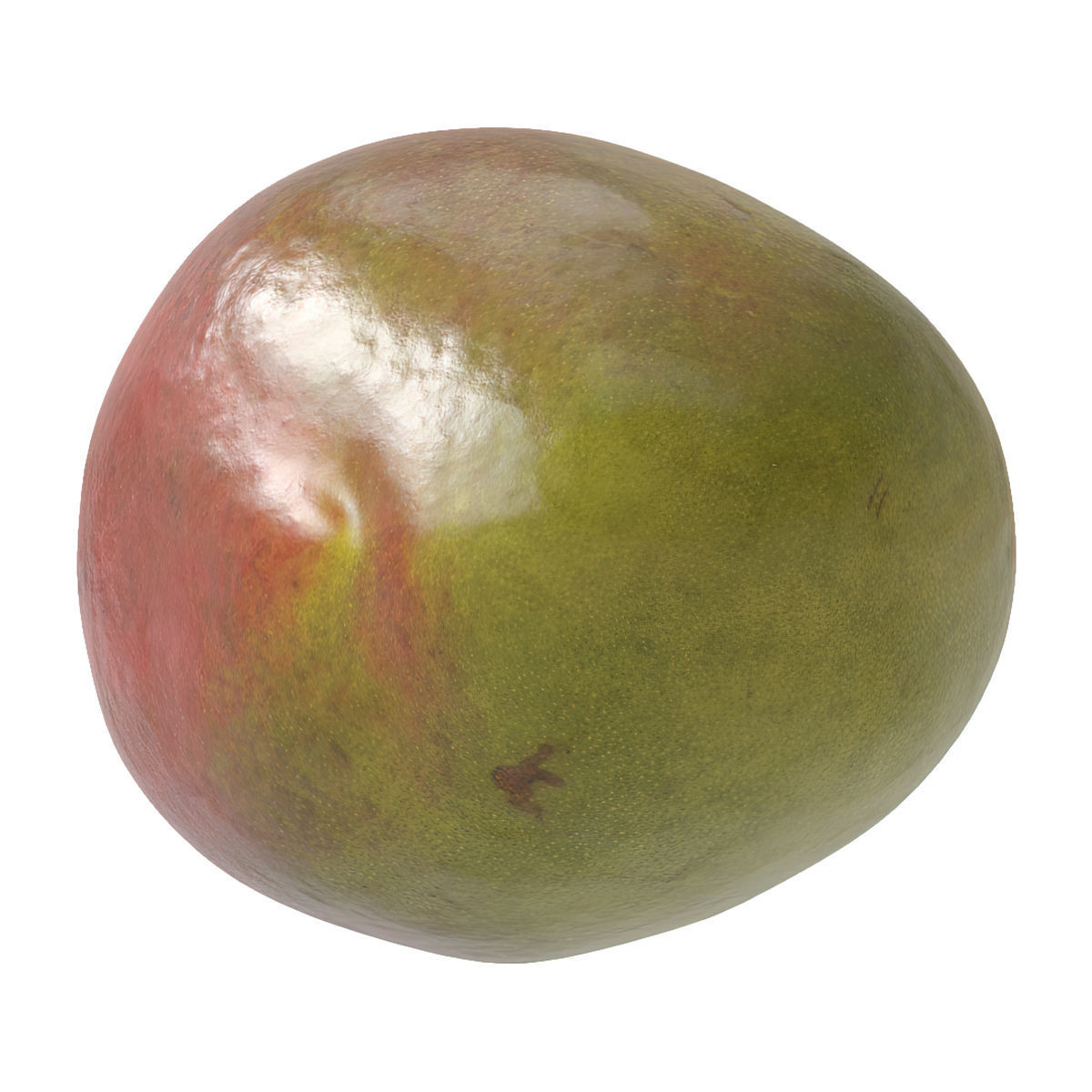Mango fruit 3D Model Collection_27