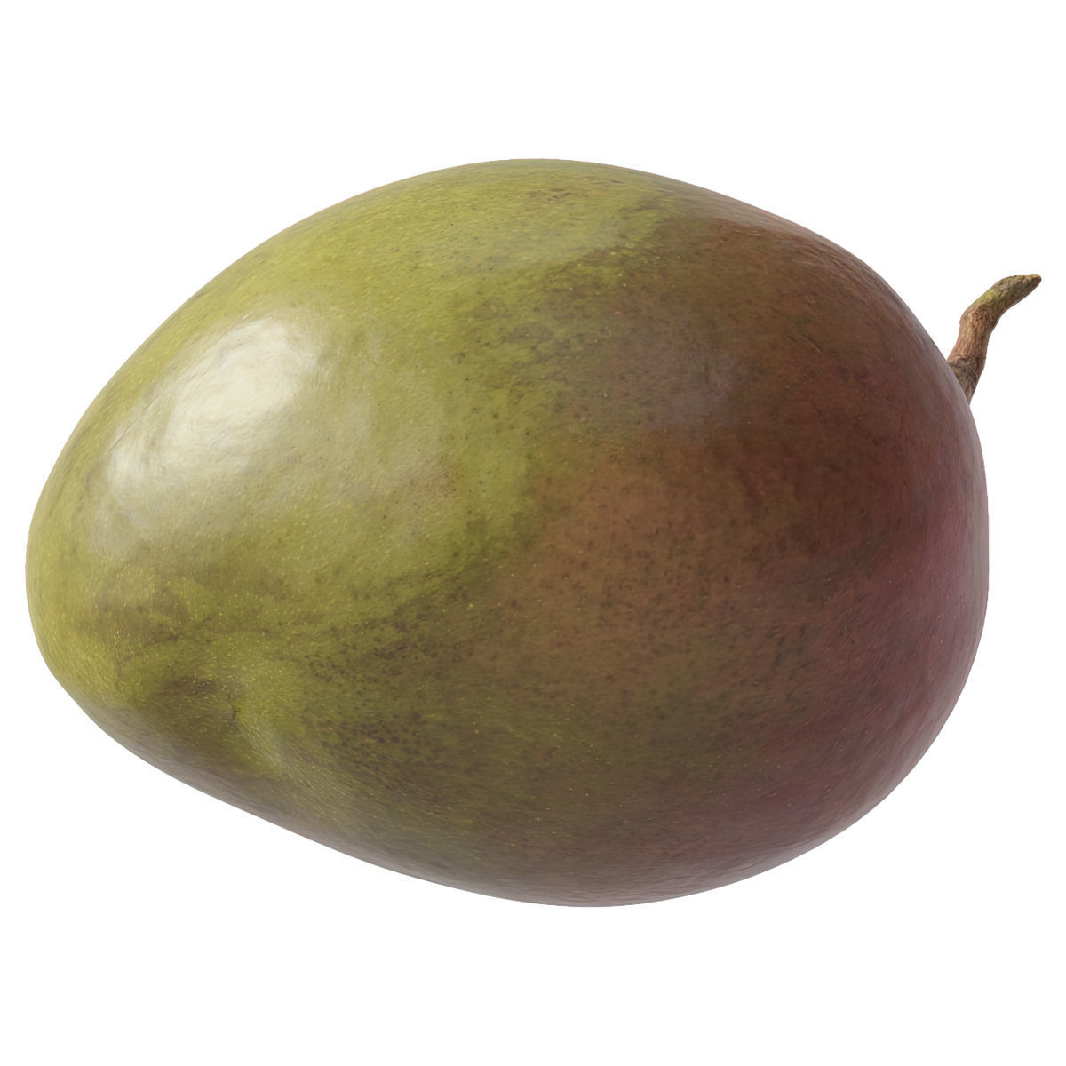 Mango fruit 3D Model Collection_14