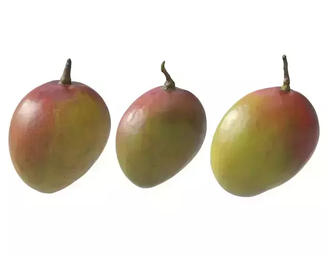 Mango fruit