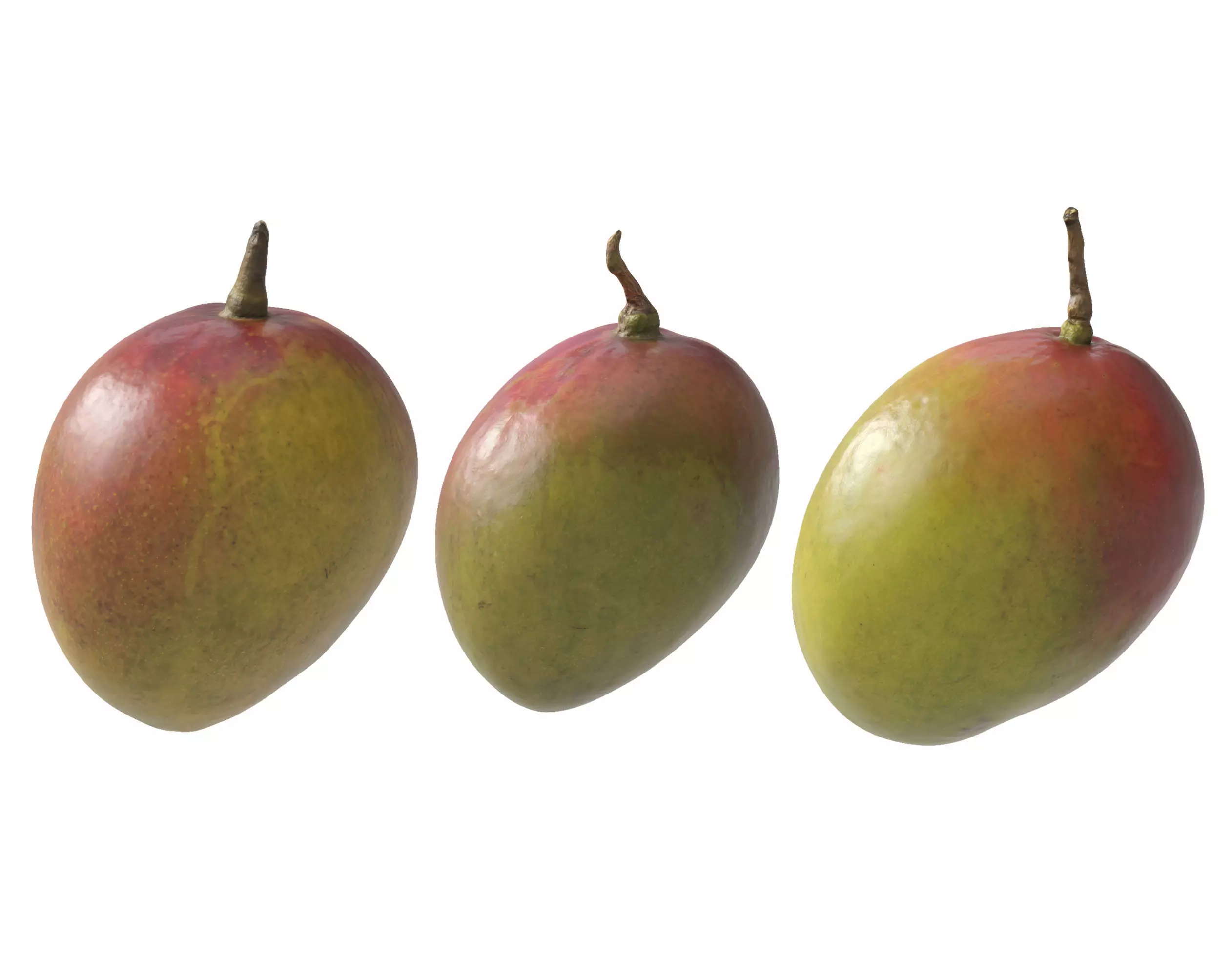 Mango fruit 3D Model Collection_0
