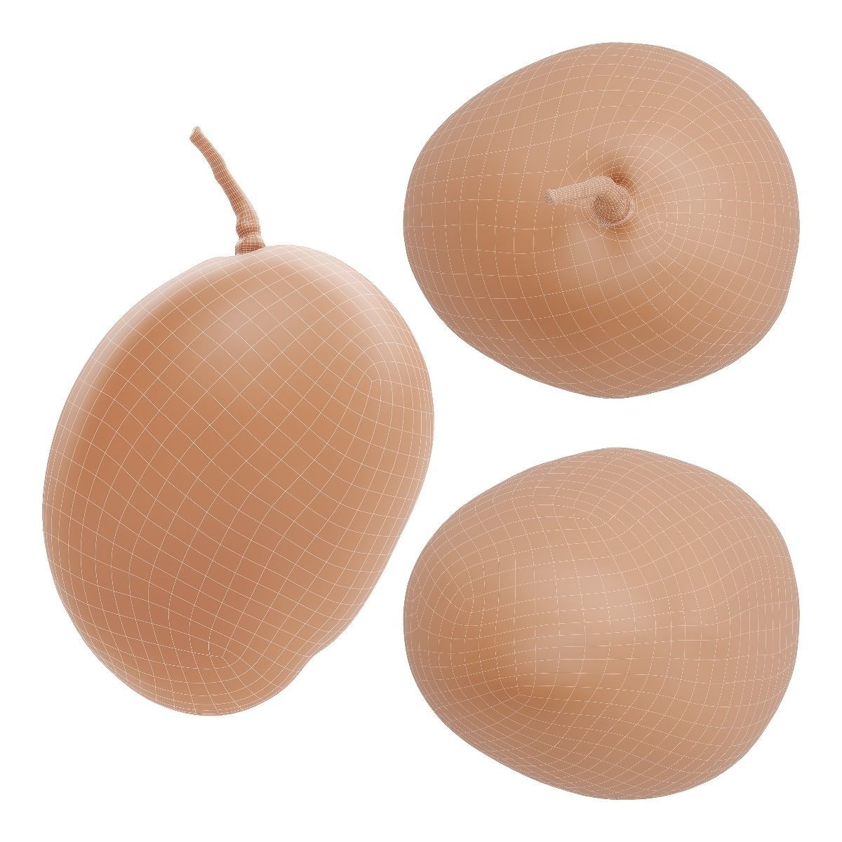 Mango fruit 3D Model Collection_30