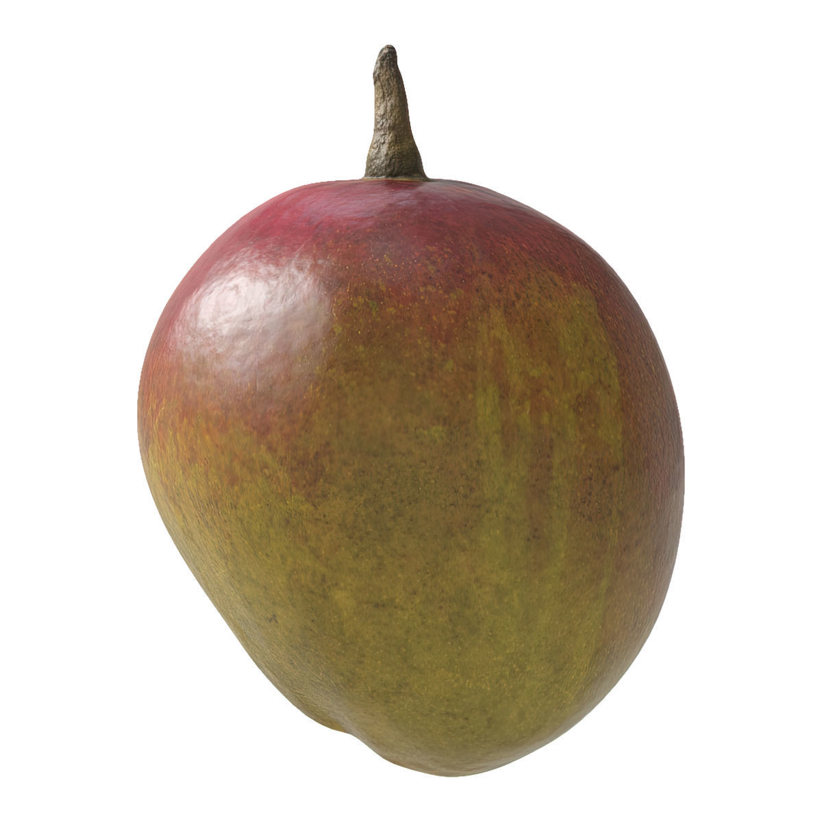Mango fruit 3D Model Collection_6
