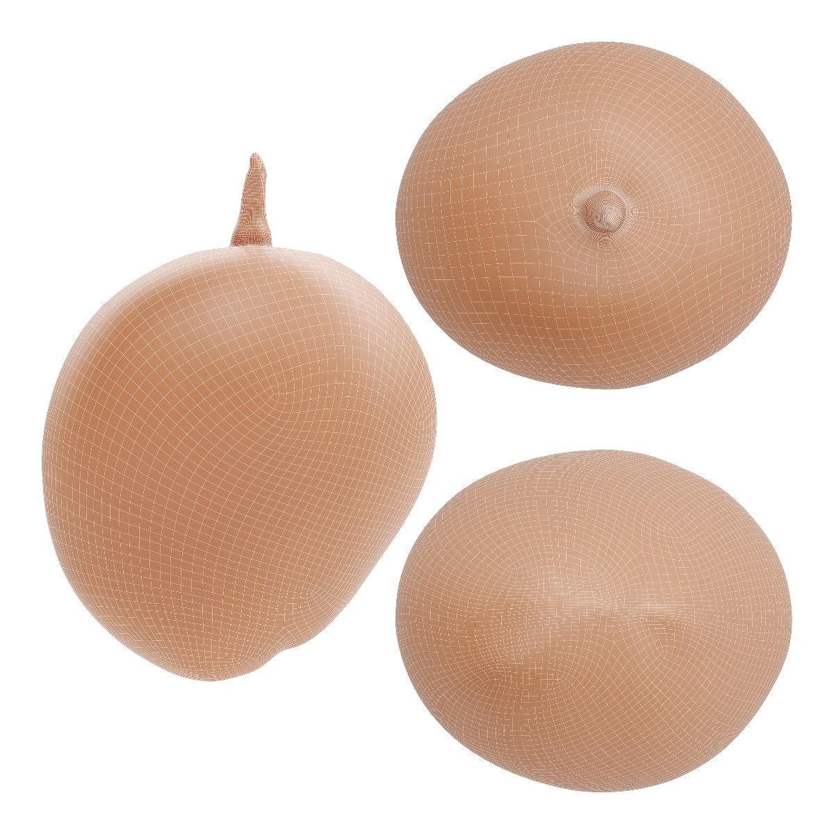 Mango fruit 3D Model Collection_9