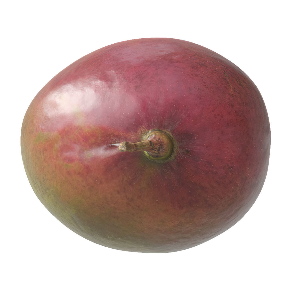 Mango fruit 3D Model Collection_15