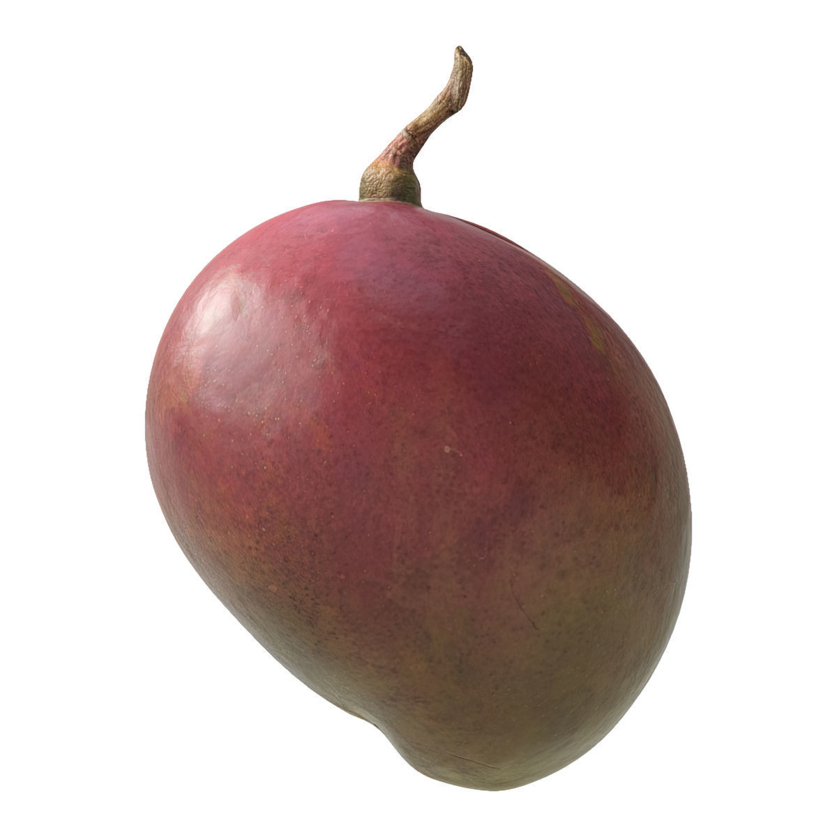 Mango fruit 3D Model Collection_17
