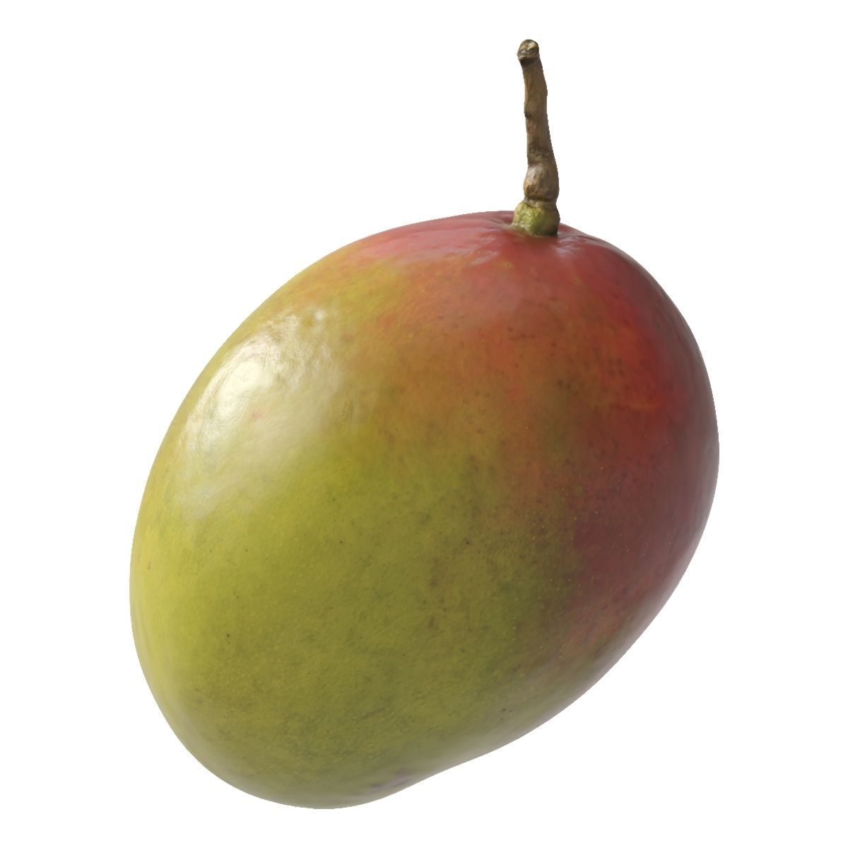 Mango fruit 3D Model Collection_23