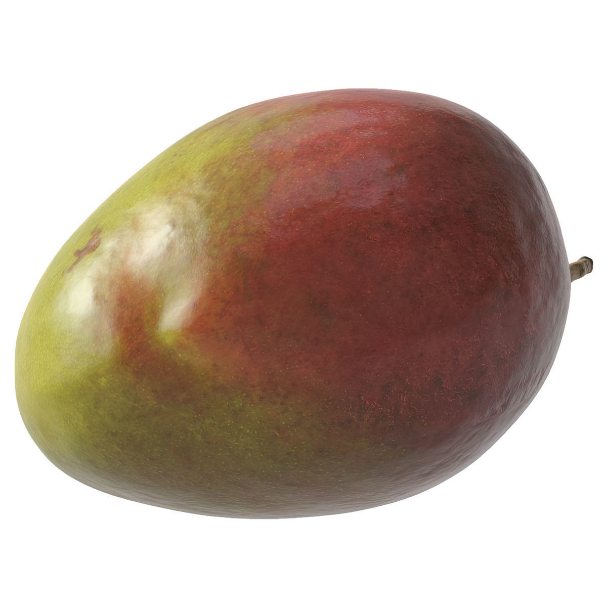 Mango fruit 3D Model Collection_25