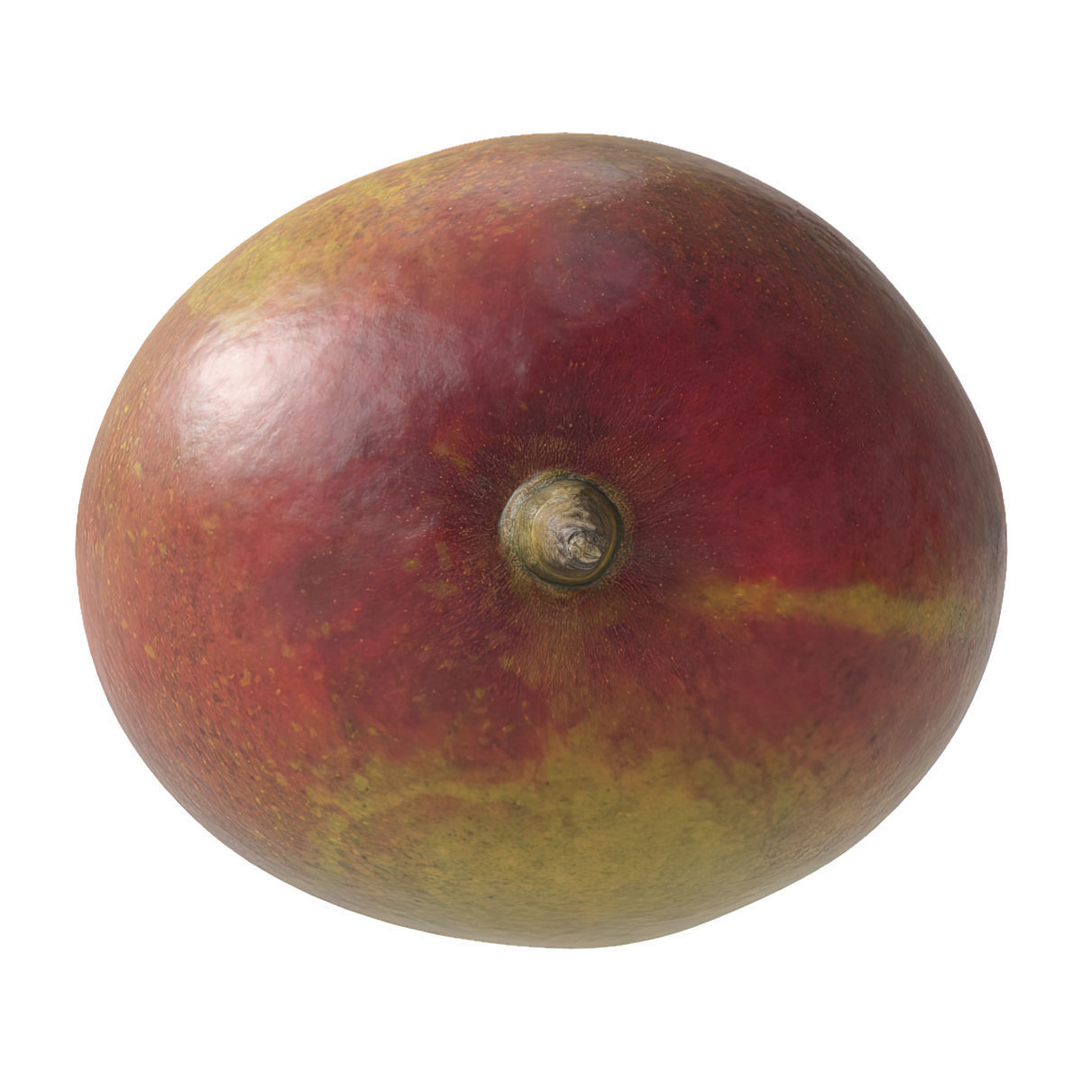 Mango fruit 3D Model Collection_4