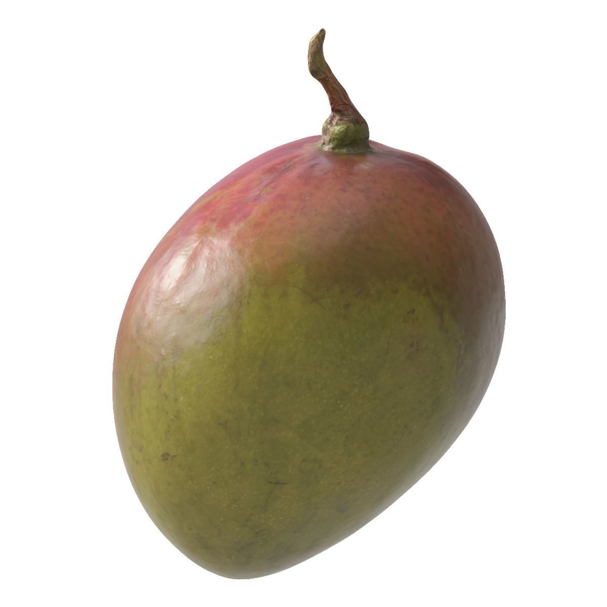Mango fruit 3D Model Collection_12