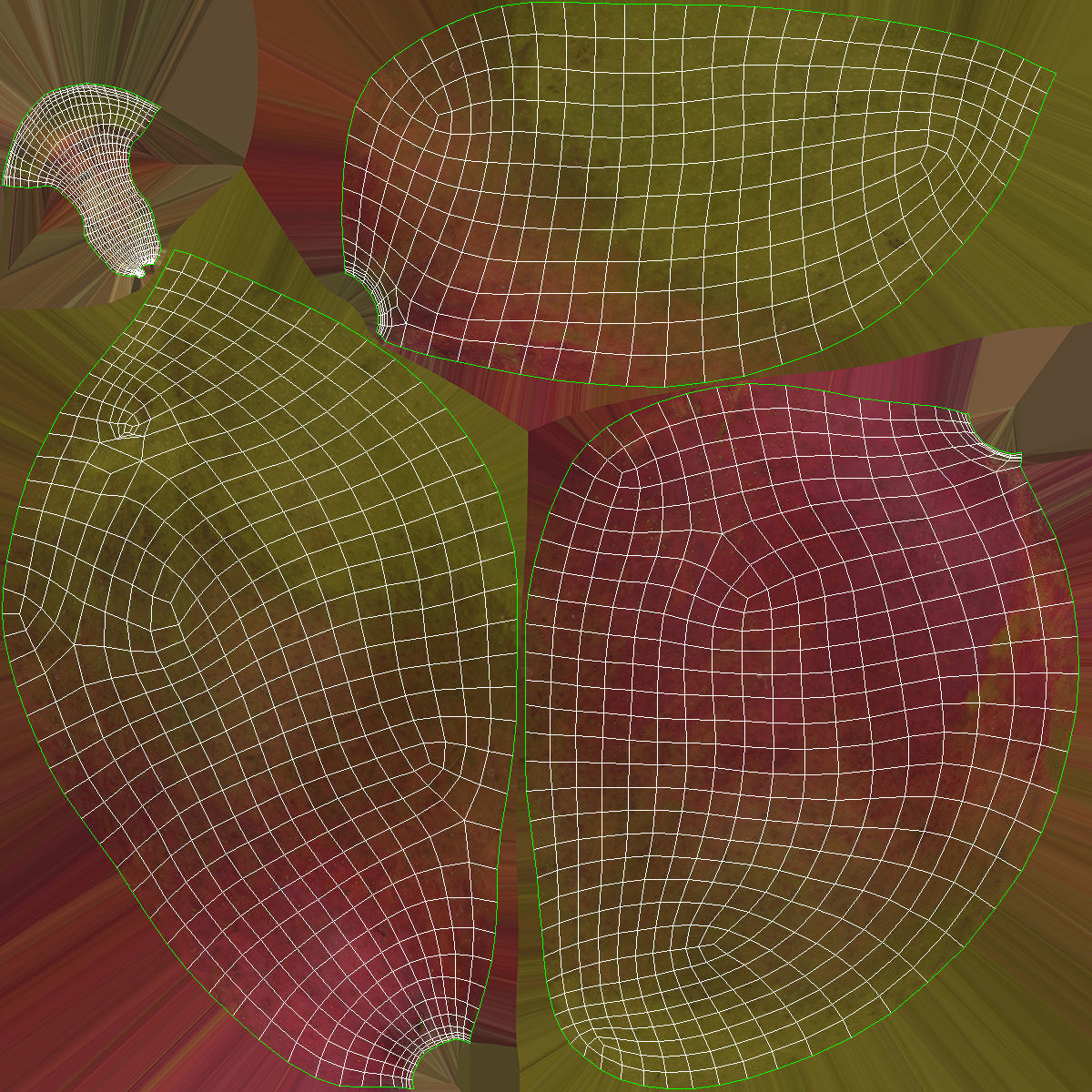 Mango fruit 3D Model Collection_21