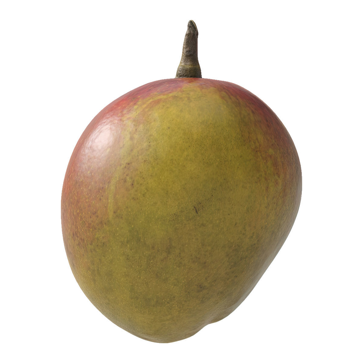 Mango fruit 3D Model Collection_7