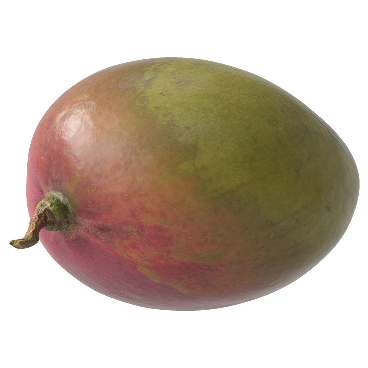 Mango fruit 3D Model Collection_13