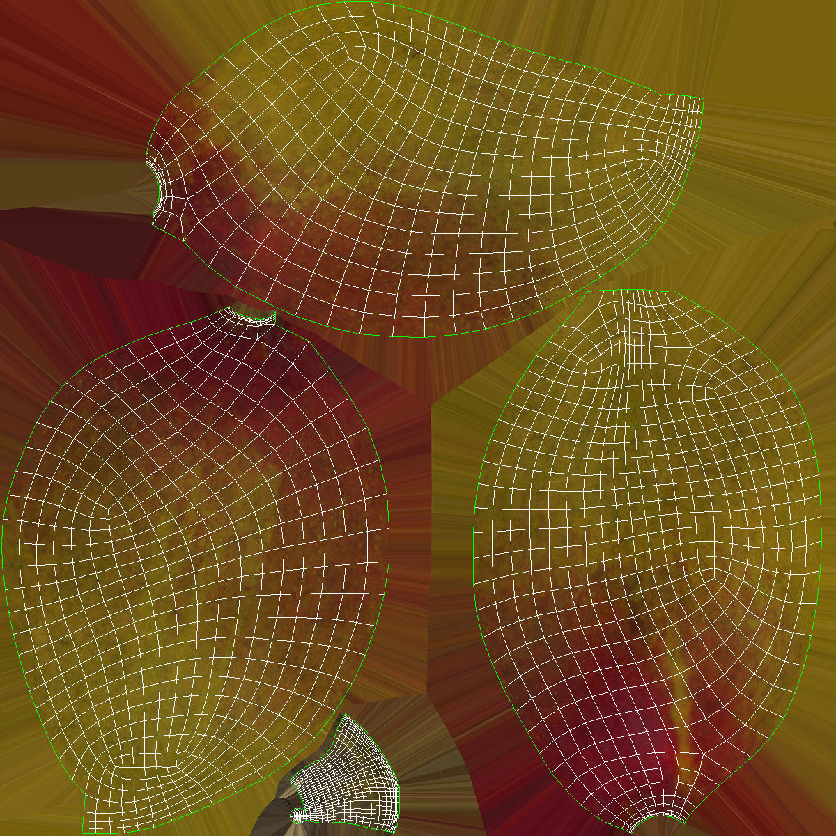 Mango fruit 3D Model Collection_11