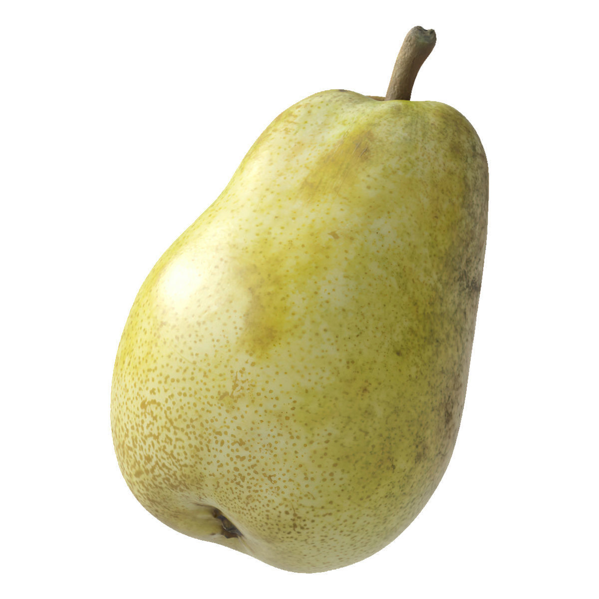 Kieffer Pears 3D Model Collection_37