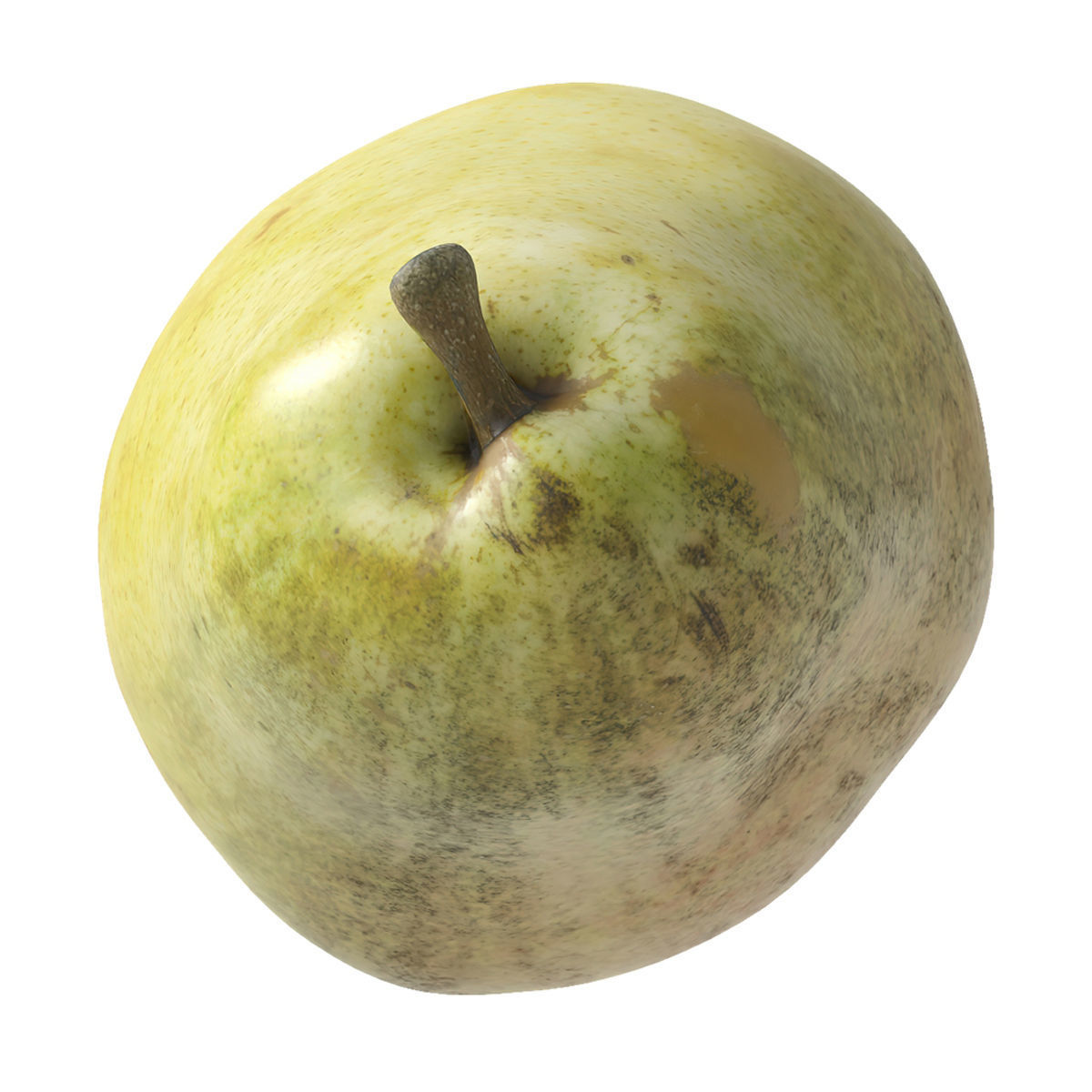 Kieffer Pears 3D Model Collection_31