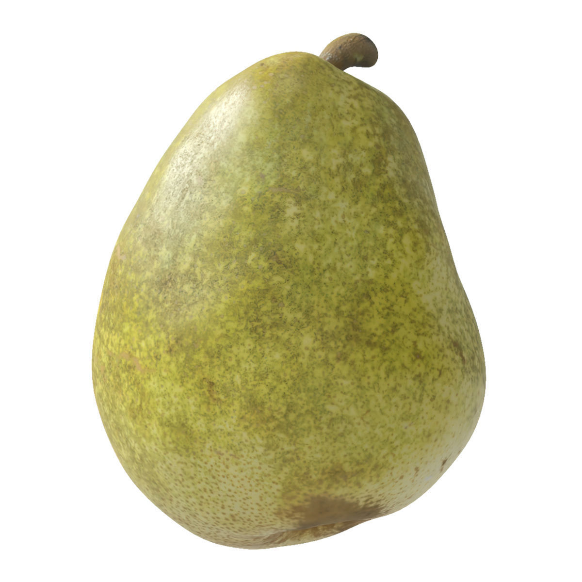 Kieffer Pears 3D Model Collection_6