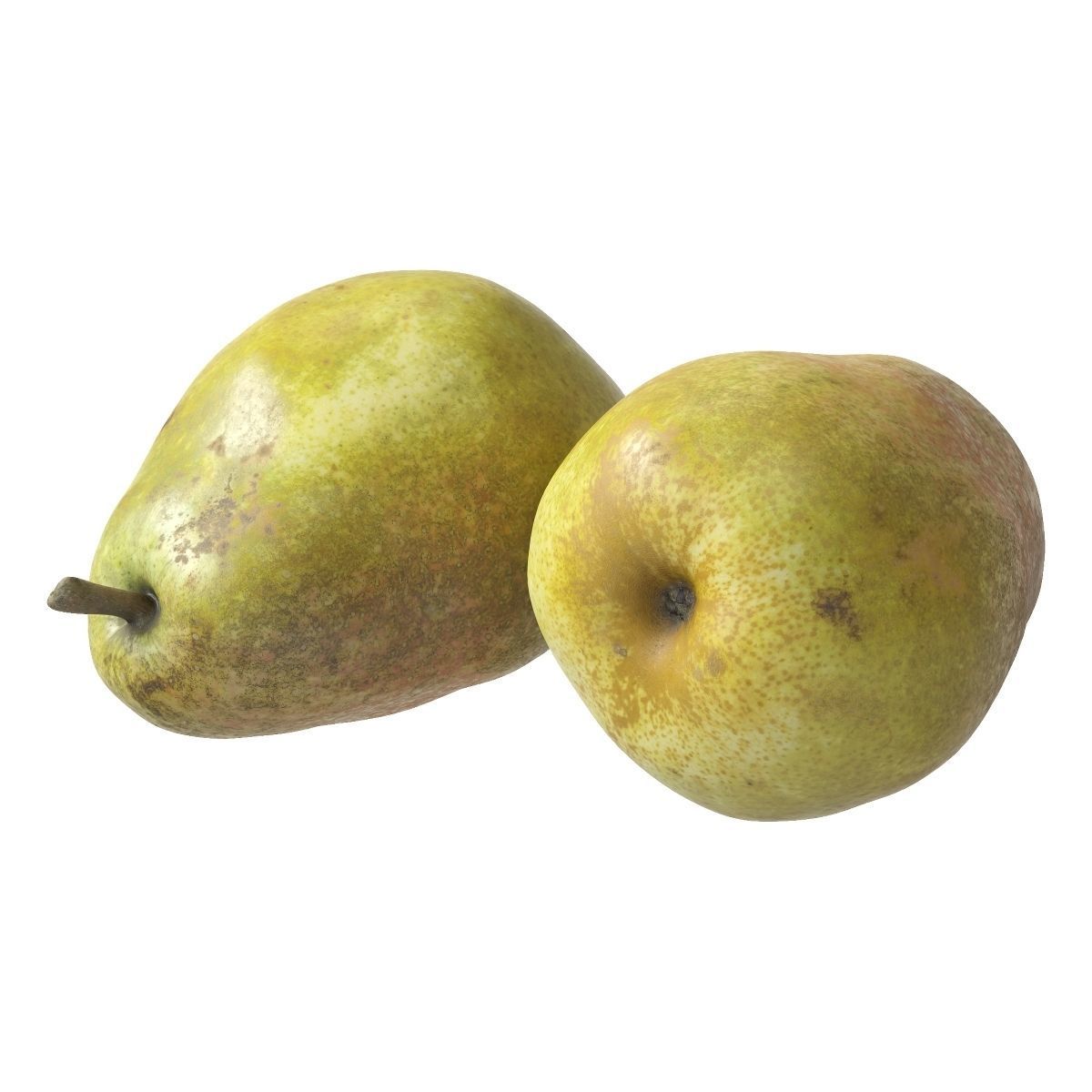 Kieffer Pears 3D Model Collection_26