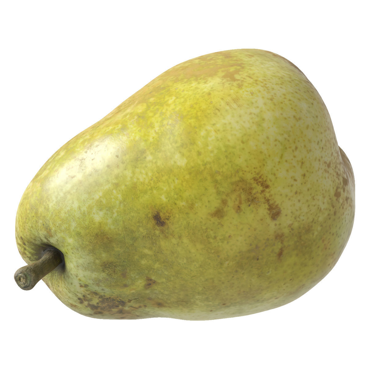 Kieffer Pears 3D Model Collection_27