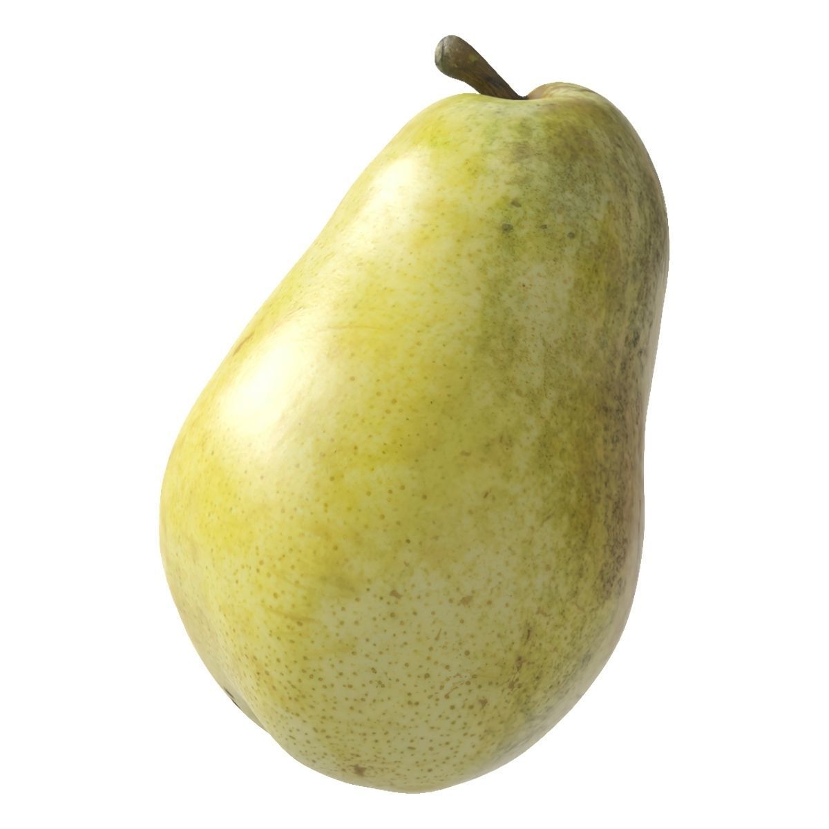 Kieffer Pears 3D Model Collection_13