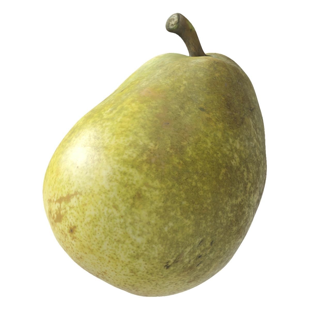 Kieffer Pears 3D Model Collection_1