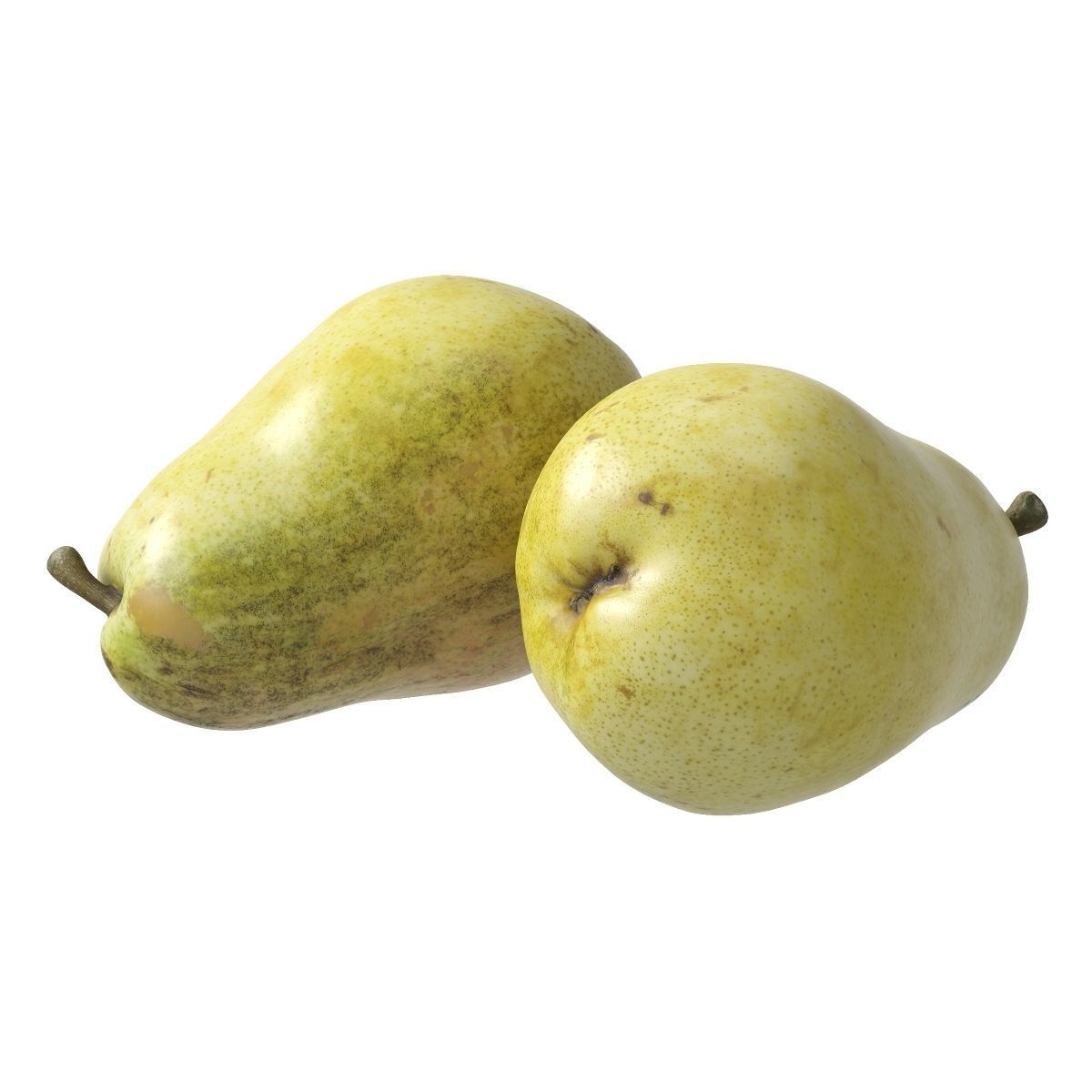 Kieffer Pears 3D Model Collection_14
