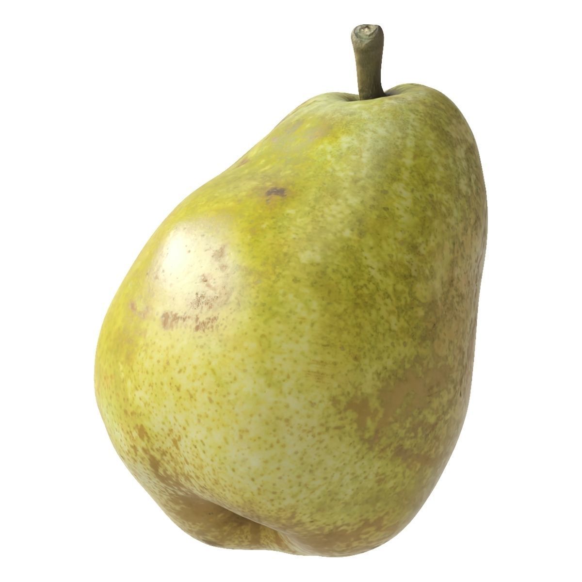 Kieffer Pears 3D Model Collection_25
