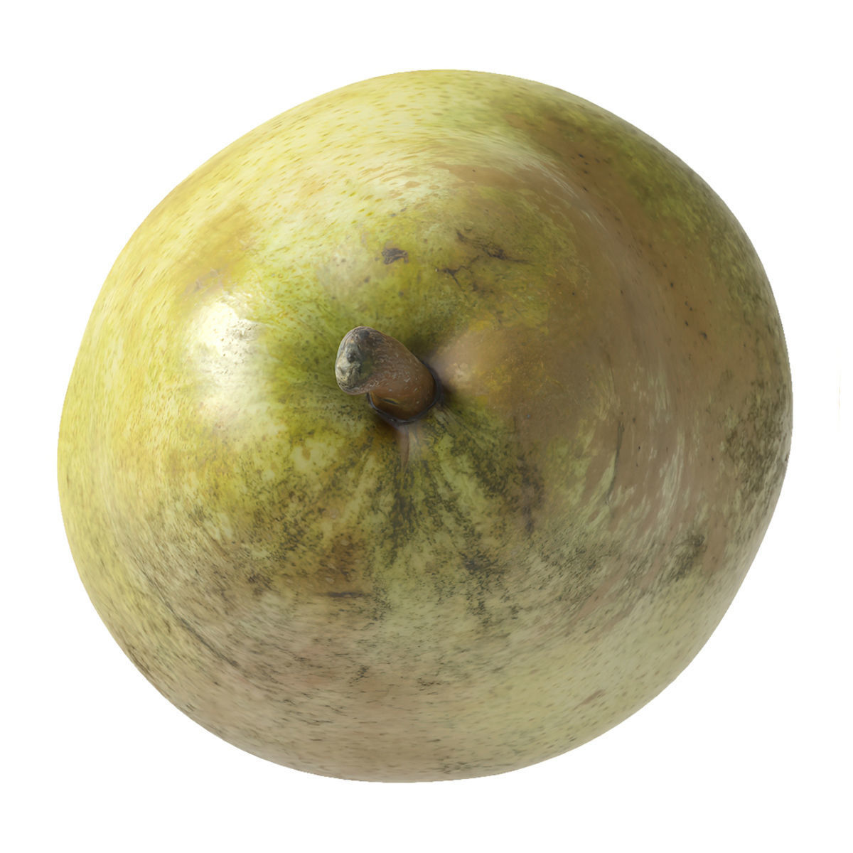 Kieffer Pears 3D Model Collection_43