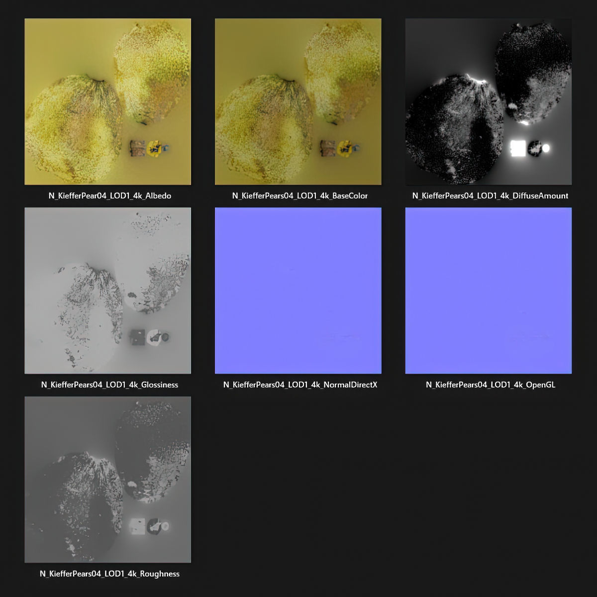 Kieffer Pears 3D Model Collection_48