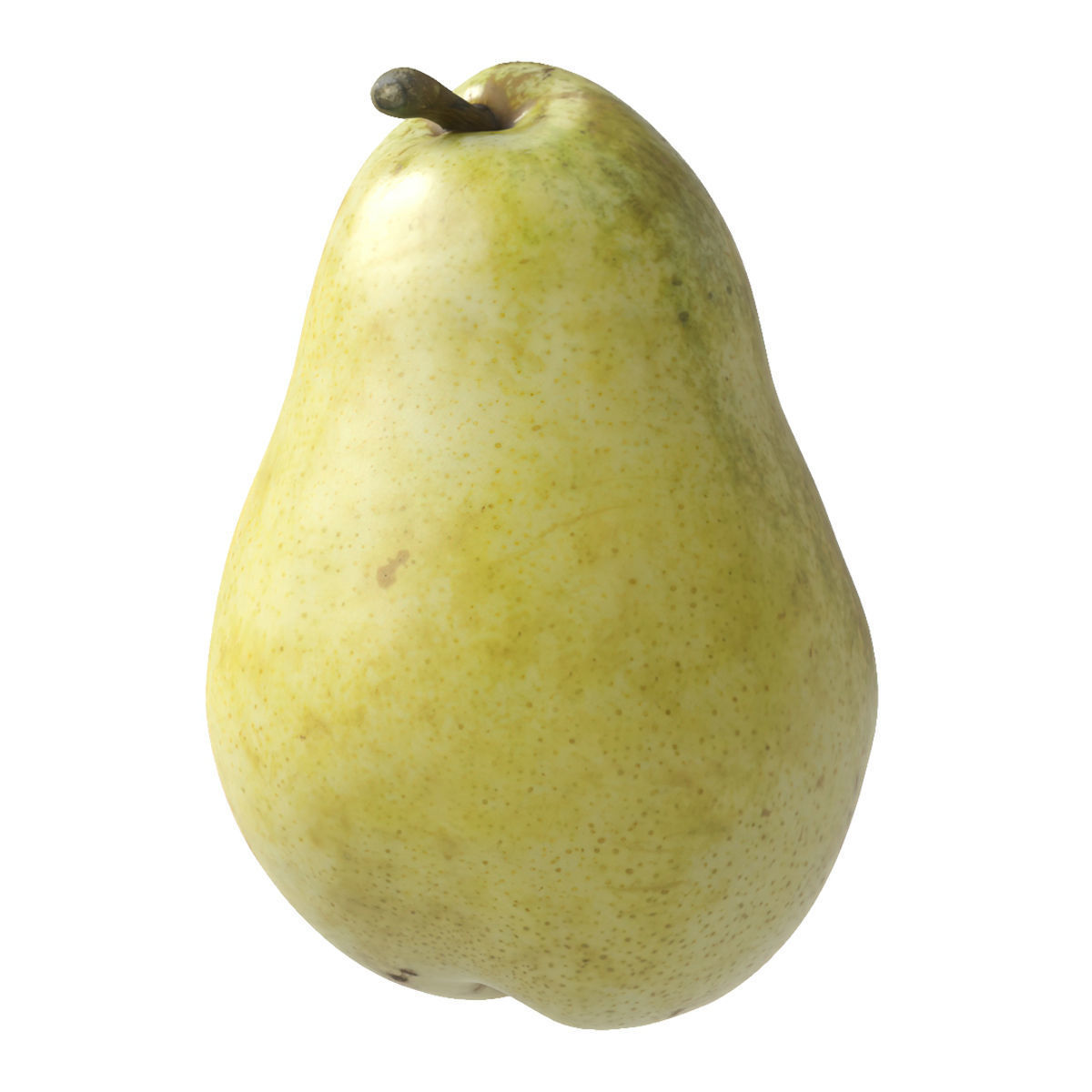 Kieffer Pears 3D Model Collection_17
