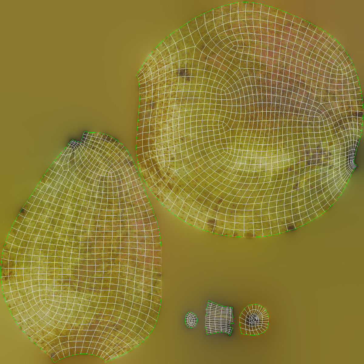 Kieffer Pears 3D Model Collection_35