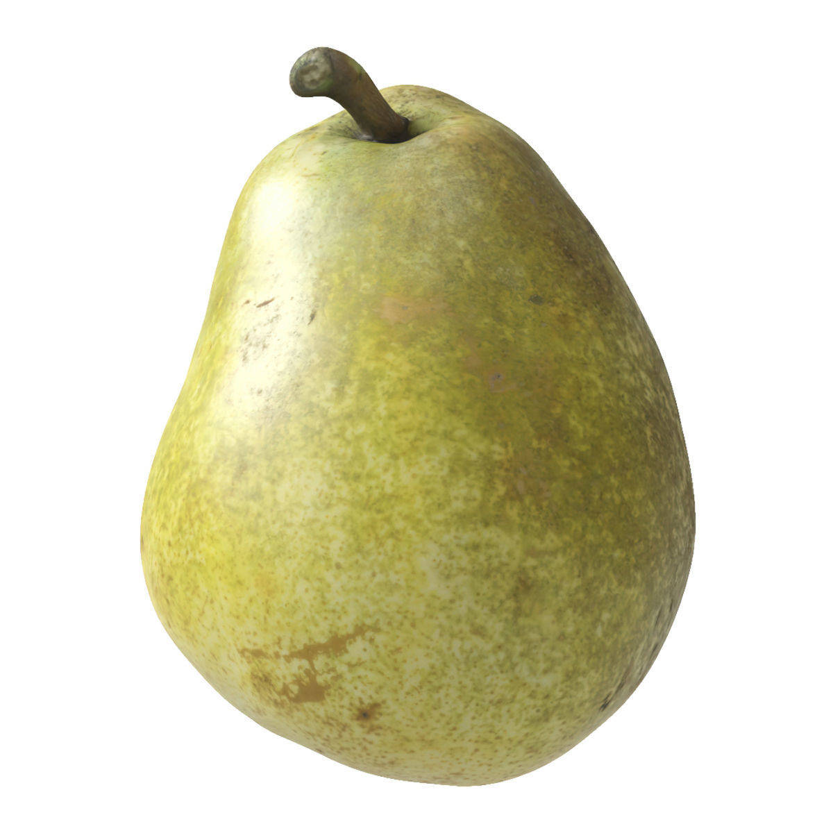 Kieffer Pears 3D Model Collection_5