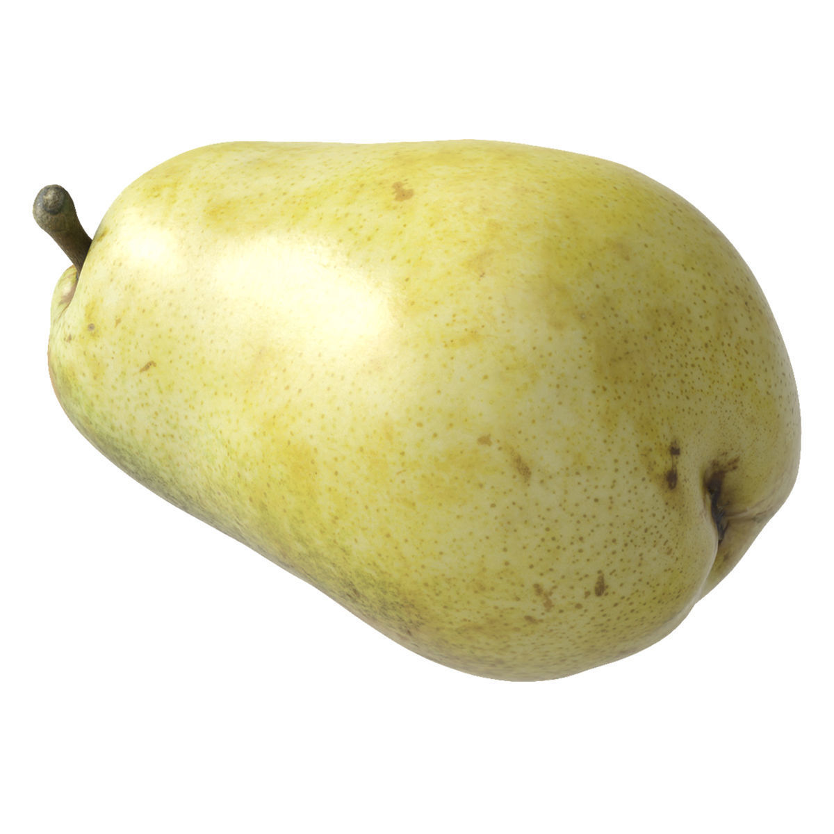 Kieffer Pears 3D Model Collection_15