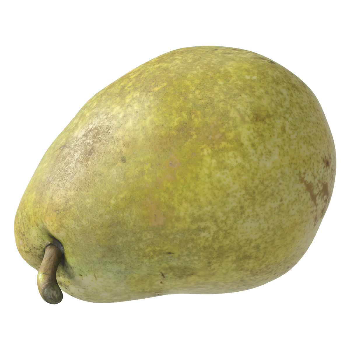 Kieffer Pears 3D Model Collection_3
