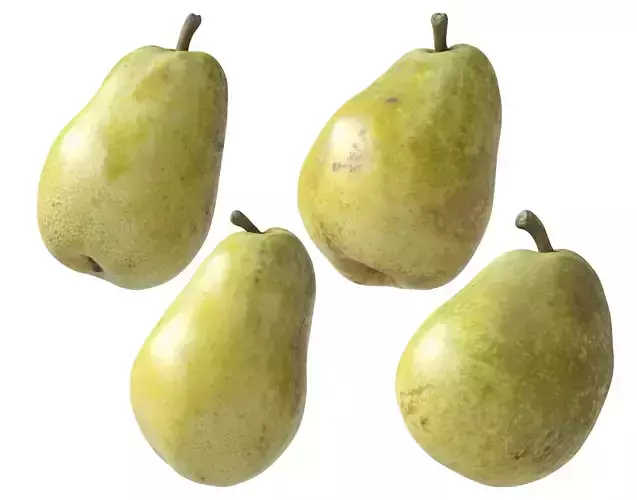 Kieffer Pears 3D Model Collection