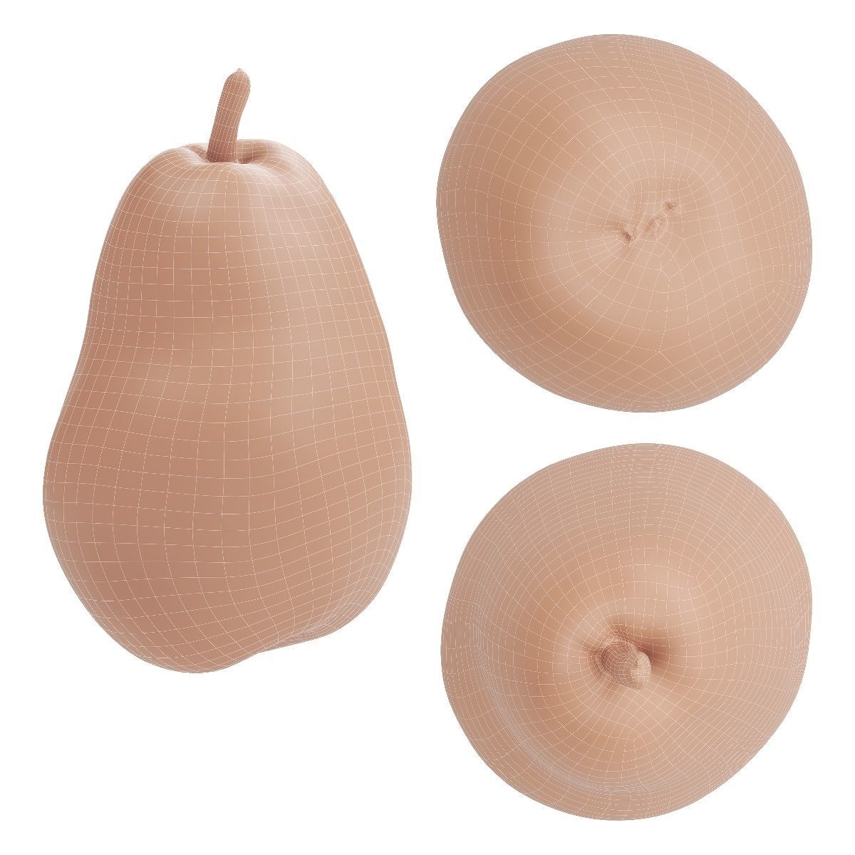 Kieffer Pears 3D Model Collection_45