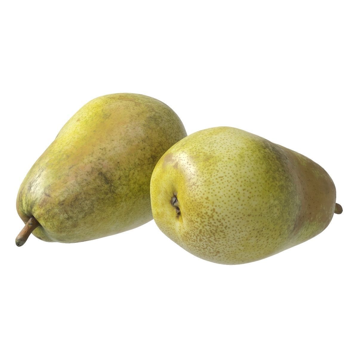 Kieffer Pears 3D Model Collection_38