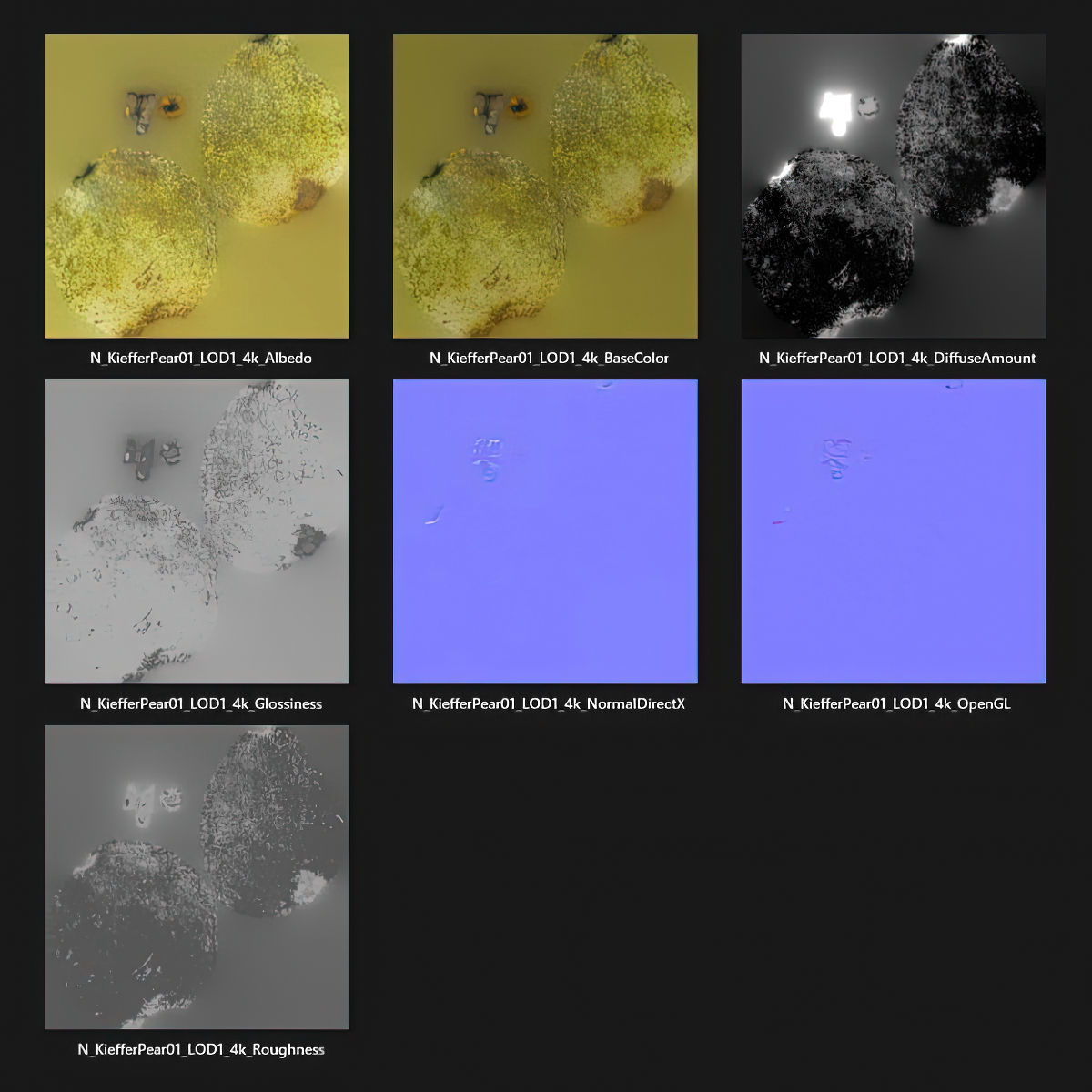 Kieffer Pears 3D Model Collection_12