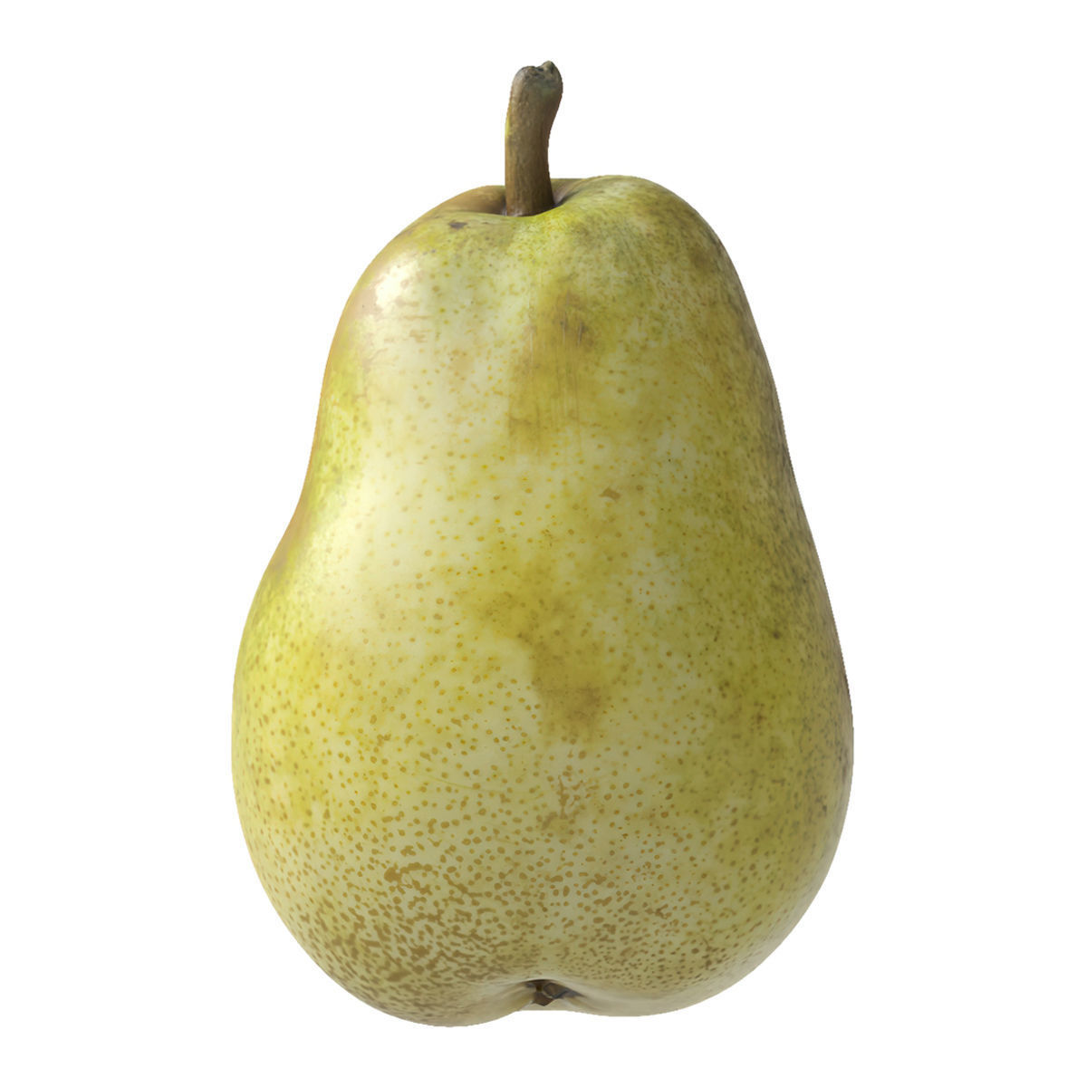 Kieffer Pears 3D Model Collection_41