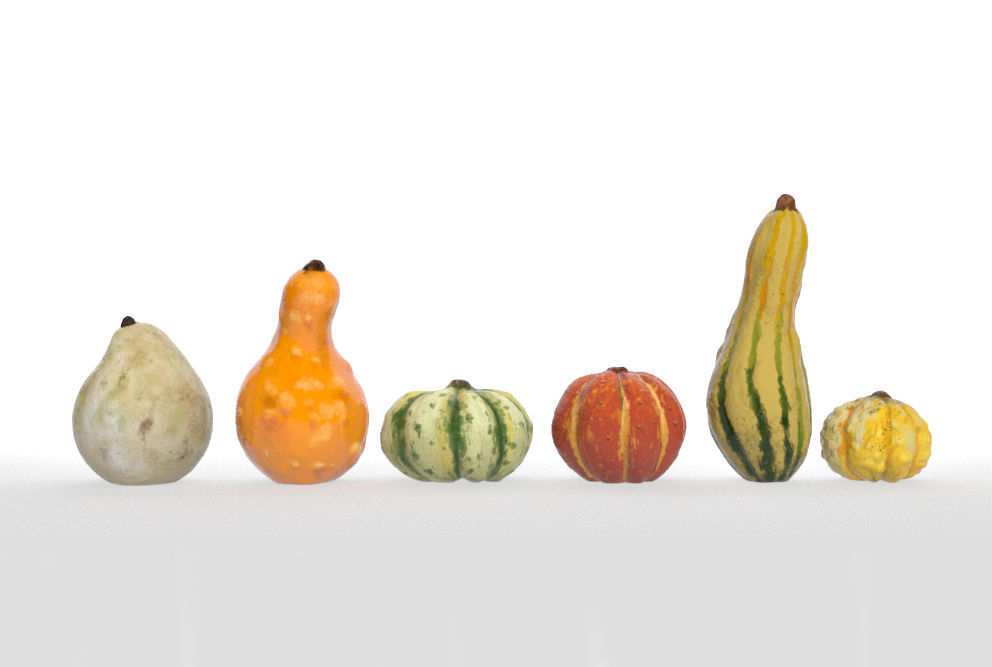Gourds for Fall Decor 3D model_1