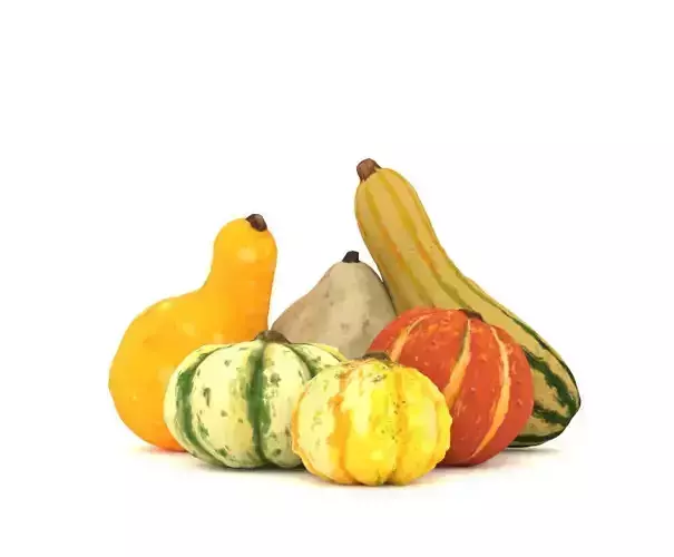 Gourds for Fall Decor 3D model