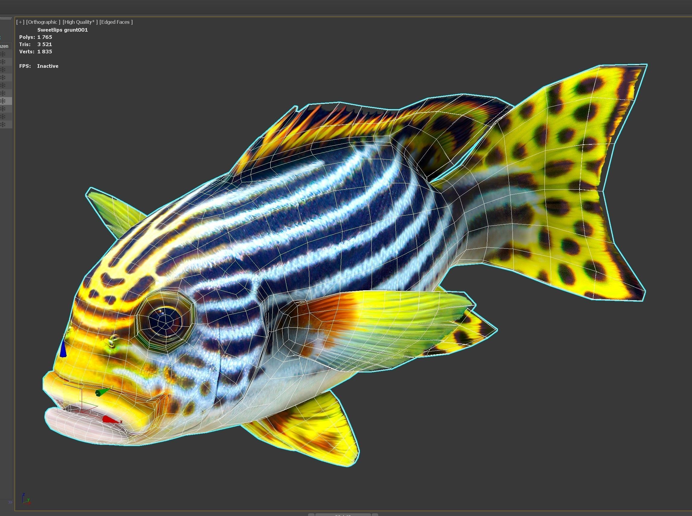 Fish Sweetlips and grunt Low-poly 3D model_8