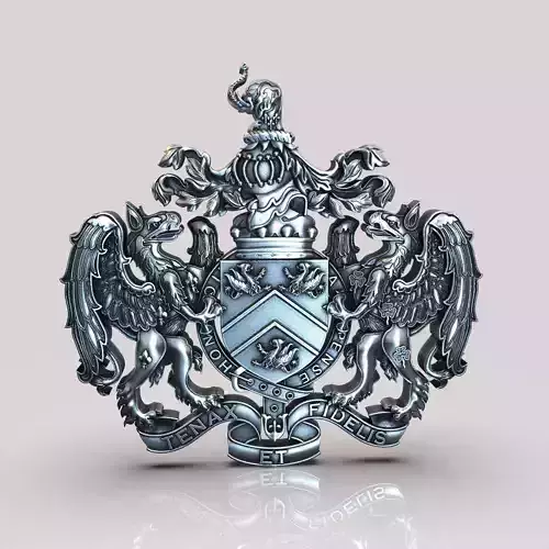 Dragon silver coat of arms