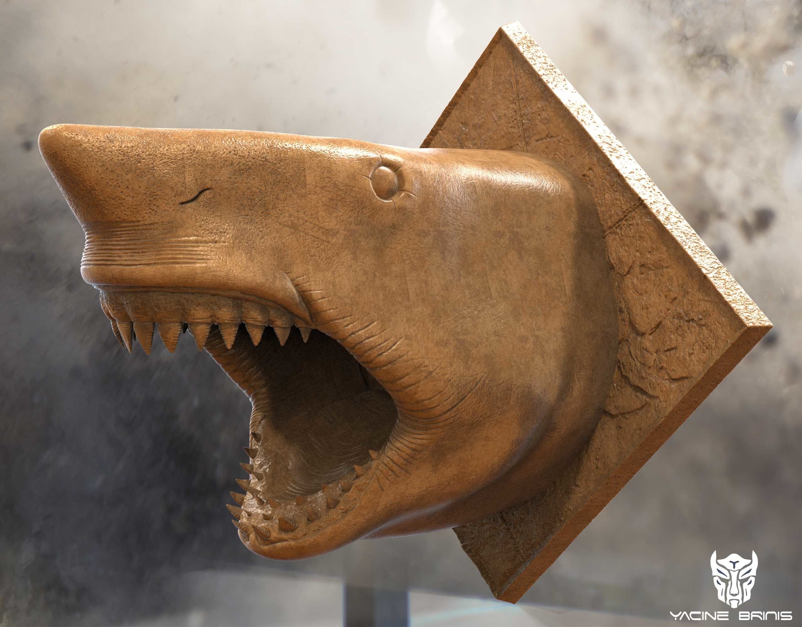 White Shark 3D Model 3D print model_2