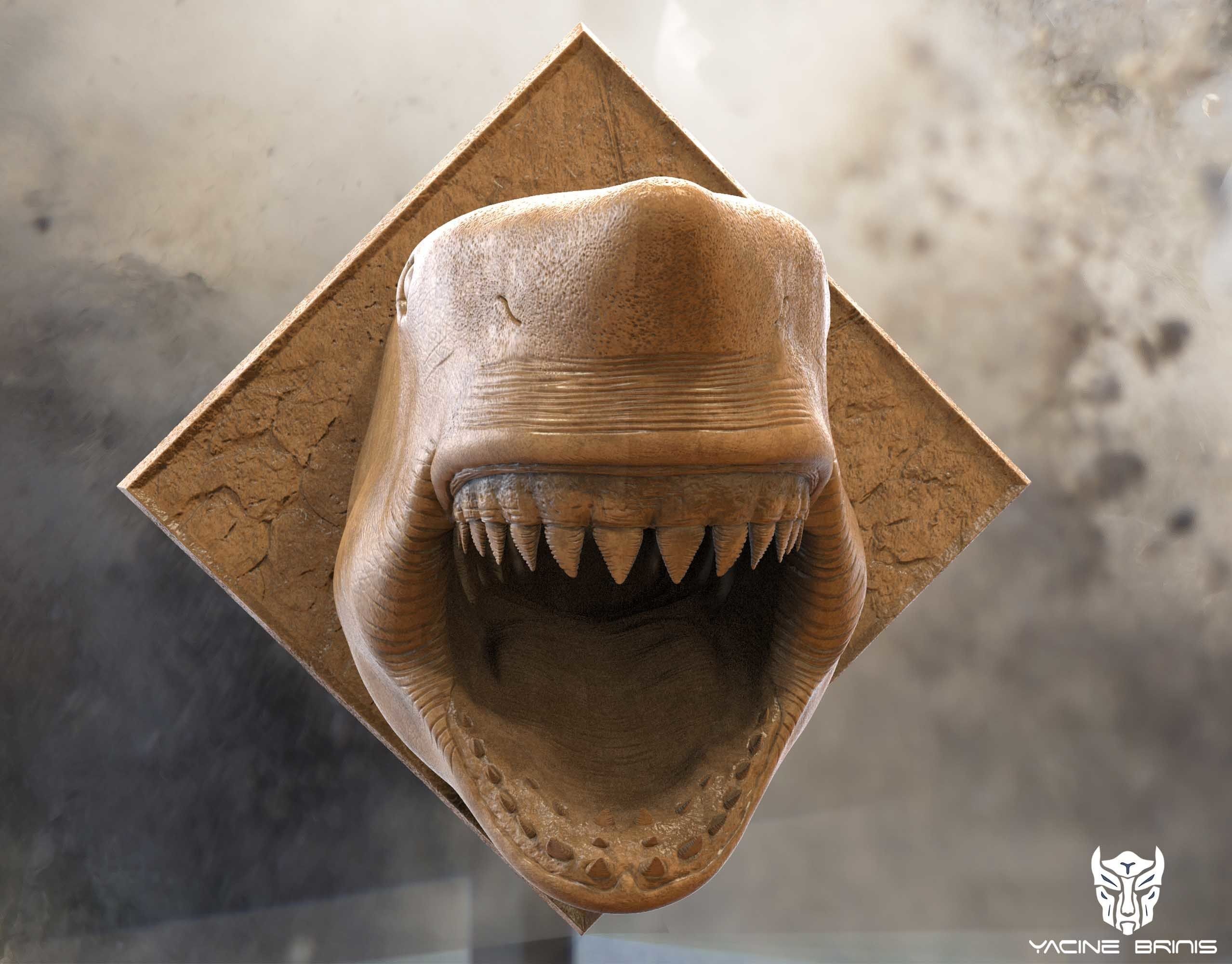 White Shark 3D Model 3D print model_3