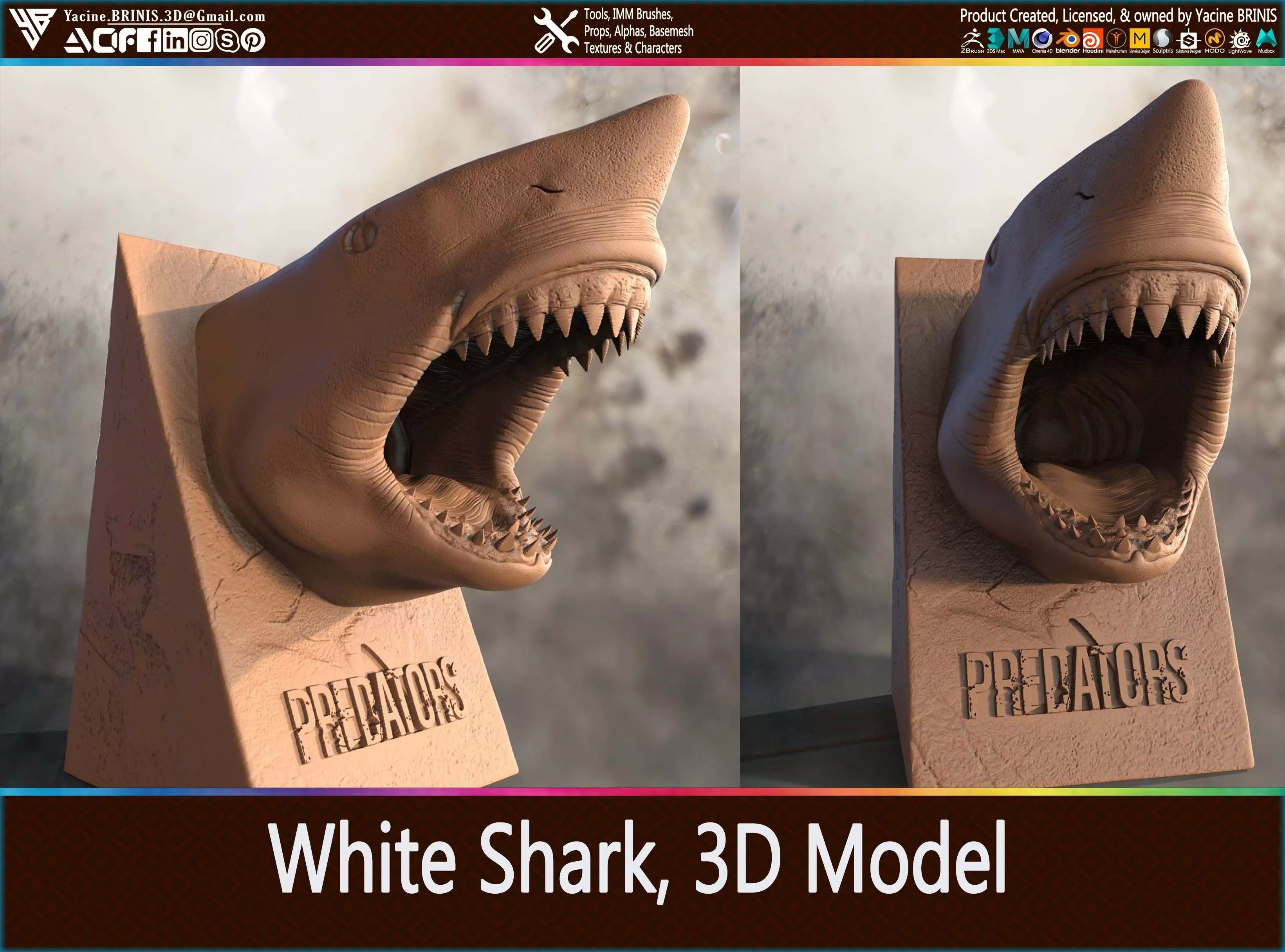 White Shark 3D Model 3D print model_0