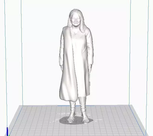 Decent Pakistani Woman 3D print model